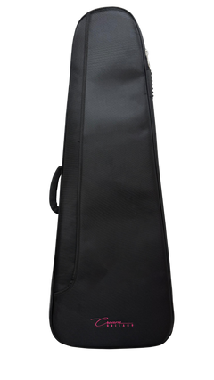 Case